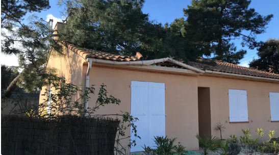 Sous les rafales de la tempête Gérard, un arbre tombé sur une maison à Saint-Brévin-les-Pins, dans la nuit du 15 au 16 janvier 2023. • © France 3 Pays de la Loire - Olivier Quentin