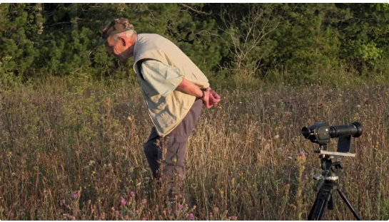 Roger à la recherche d'insectes à filmer • © SaNoSi Productions