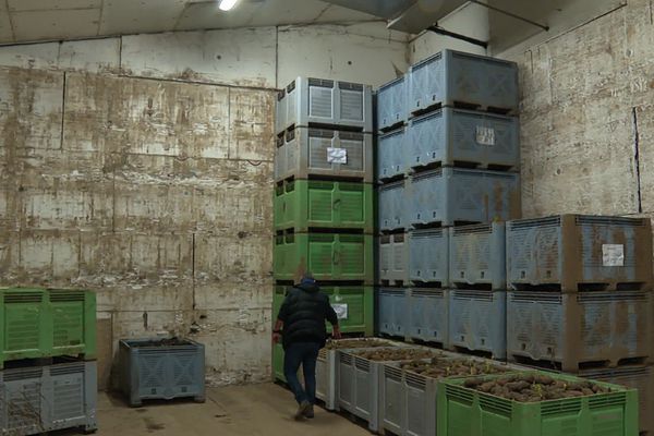 "Ça devrait être plein, mais c’est vide", se désole Patrice Rouillard, maraicher au sud de Nantes • © France Télévisions