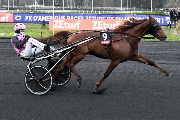 Le Manceau Jean-Michel Bazire fait son show au Grand Prix d’Amérique